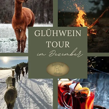 Blockhaus Am Edersee Casa vacanze